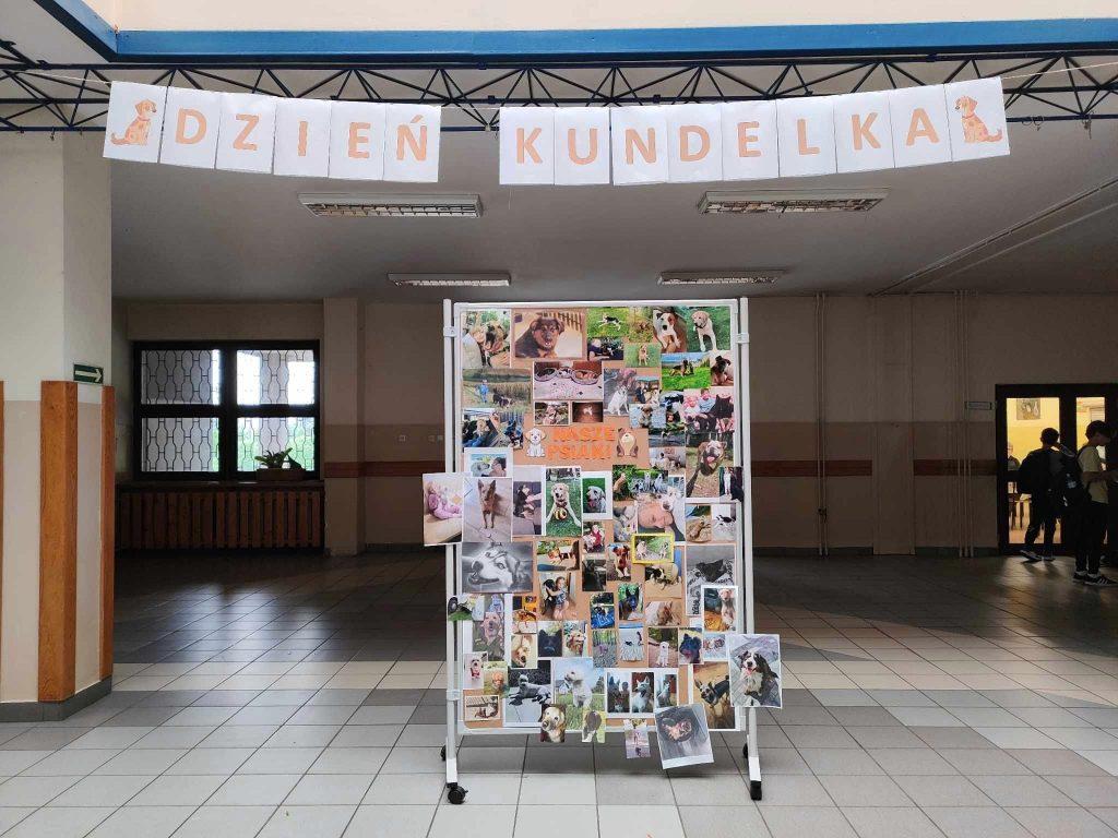 Dzień Kundelka