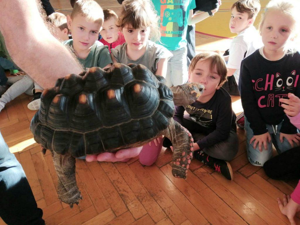 Żywa lekcja przyrody
