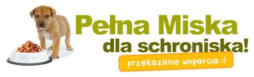 Pełna miska dla schroniska