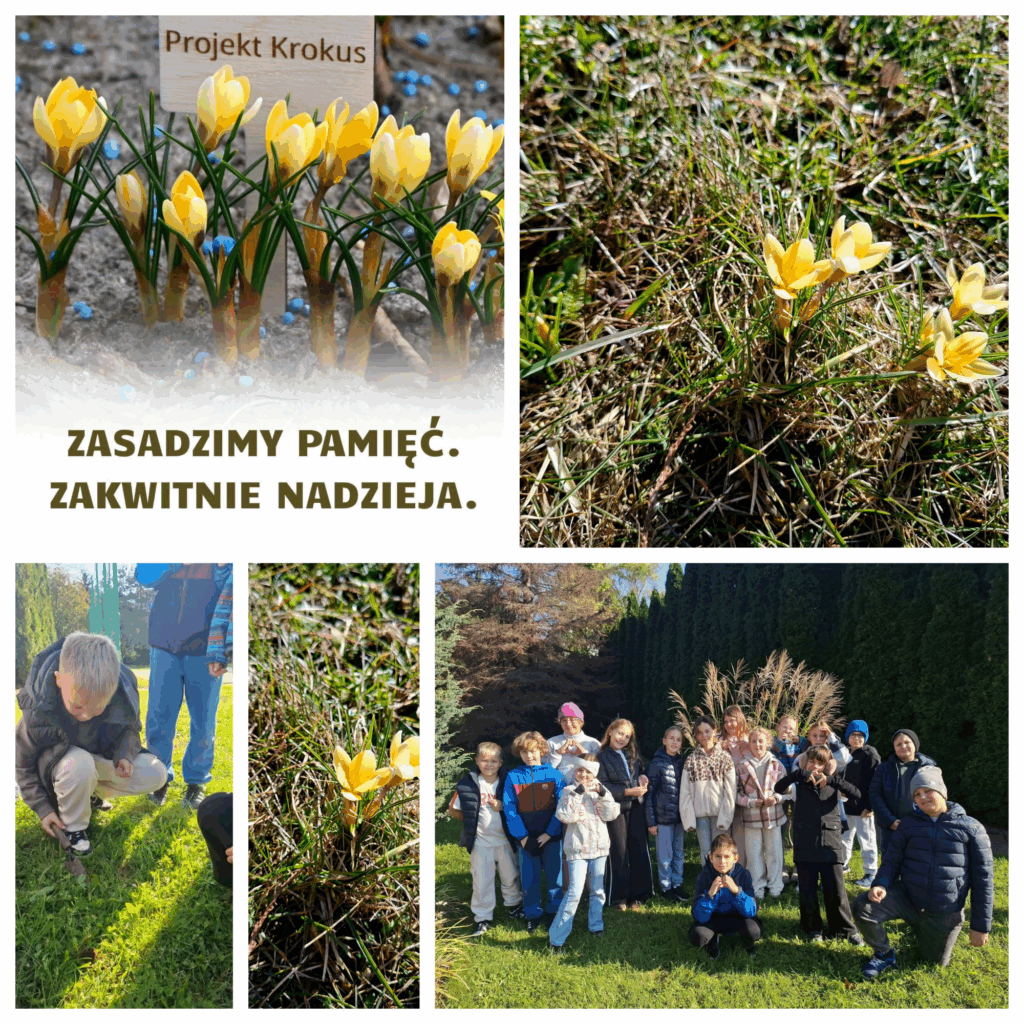 Projekt Krokus
